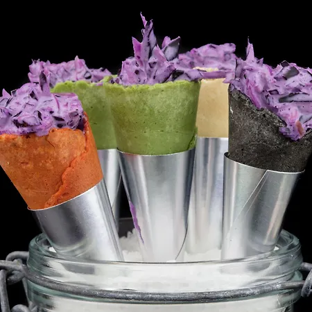 达沃斯格里希尔酒店 4* 达沃斯